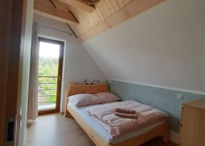 Dom Geografow 펜션 *