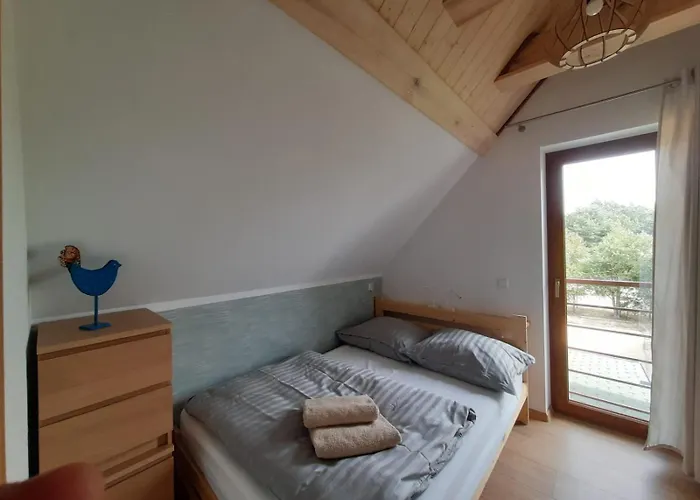 Dom Geografow 펜션 *