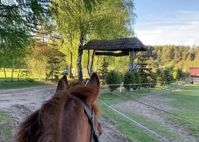 Dom Geografow * 스보르네가치에