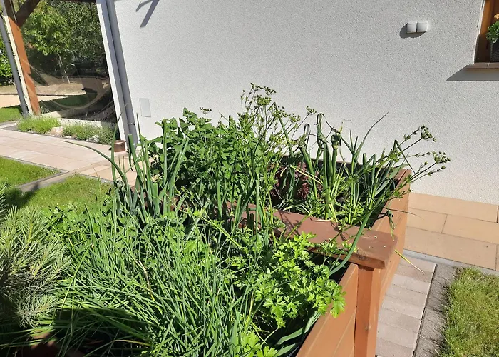 Dom Geografow 스보르네가치에